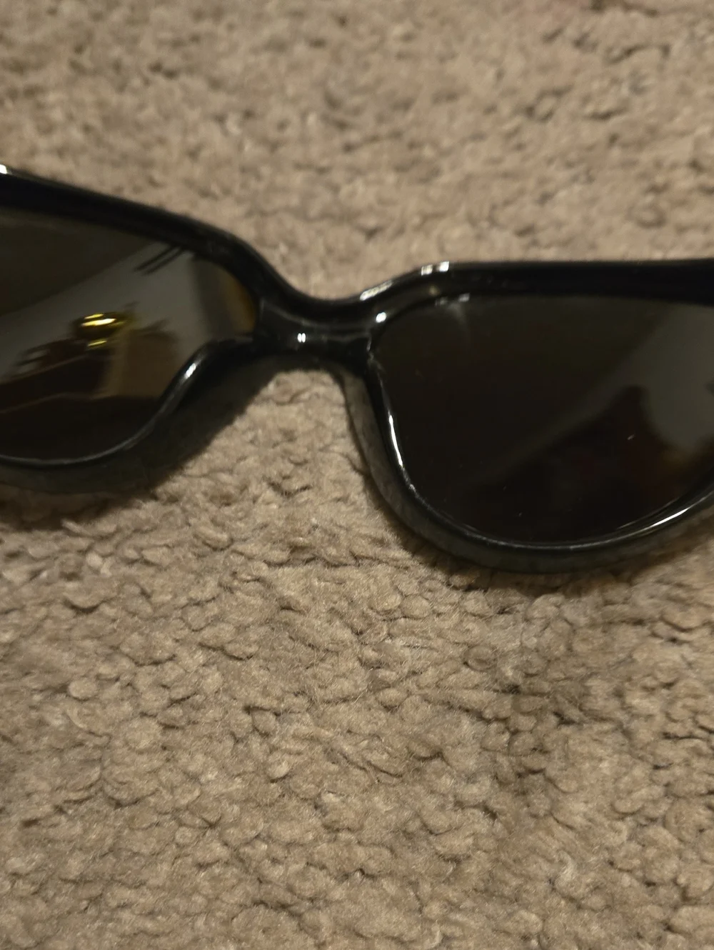 Balenciaga sleek cat